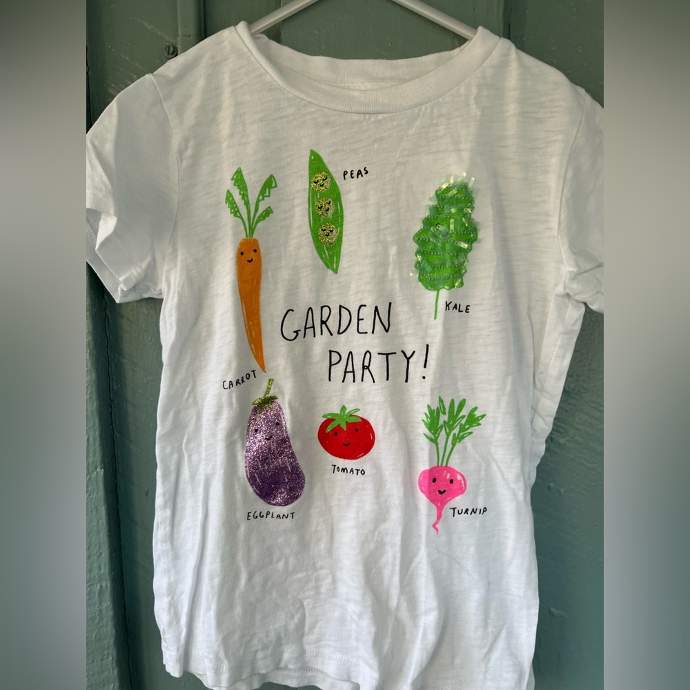 J Crew T-shirt 10